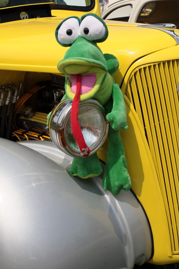 Stuffed frogs can be found all over the vehicles, this one is hanging on a headlight