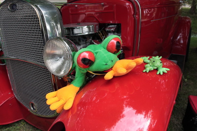 Stuffed Frog on the front fender of a 29/30 Ford