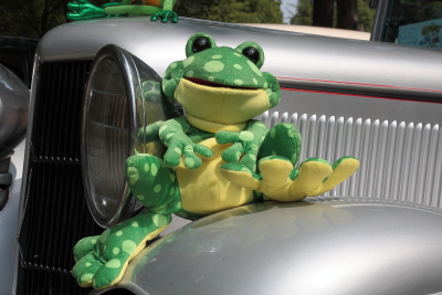Stuffed frog hanging out on the front fender of a silver hot rod
