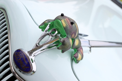 Suffed frog hugging the hood ornament on a 33/34 Ford