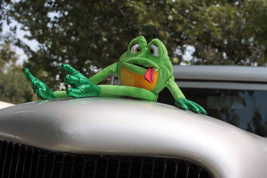 Crossed eyed stuffed frog with tongue haning out laying on the roof of a hot rod
