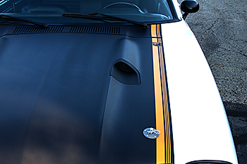 Ellie's subtle graphics on her hood